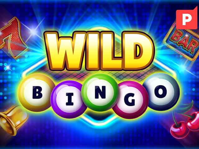 6690 bet Bingo Selvagem